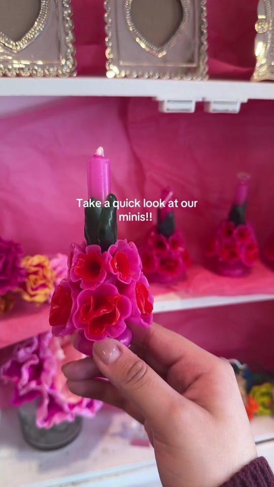Post 3 by Mexico In My Pocket LLC on TikTok (video)