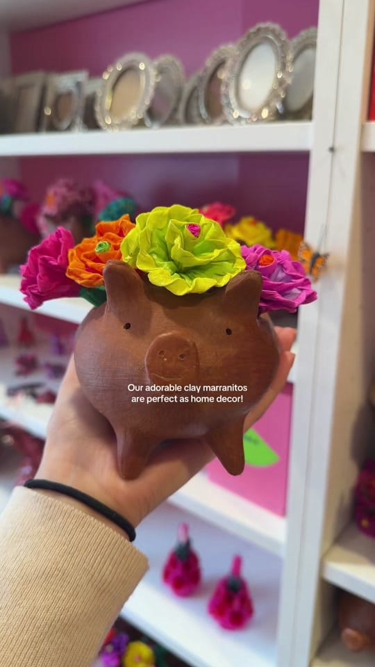 Post 7 by Mexico In My Pocket LLC on TikTok (video)