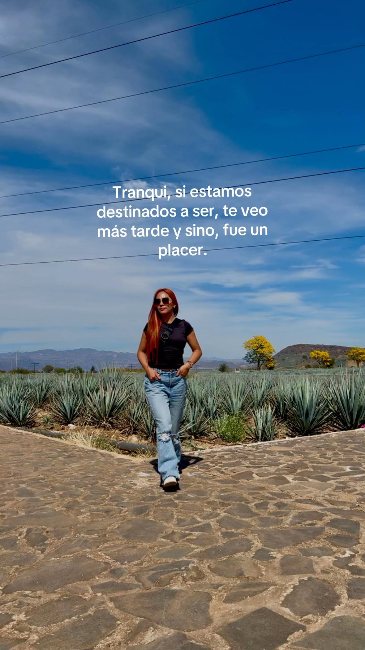 Post 8 by Alondra Castillo on TikTok (video)