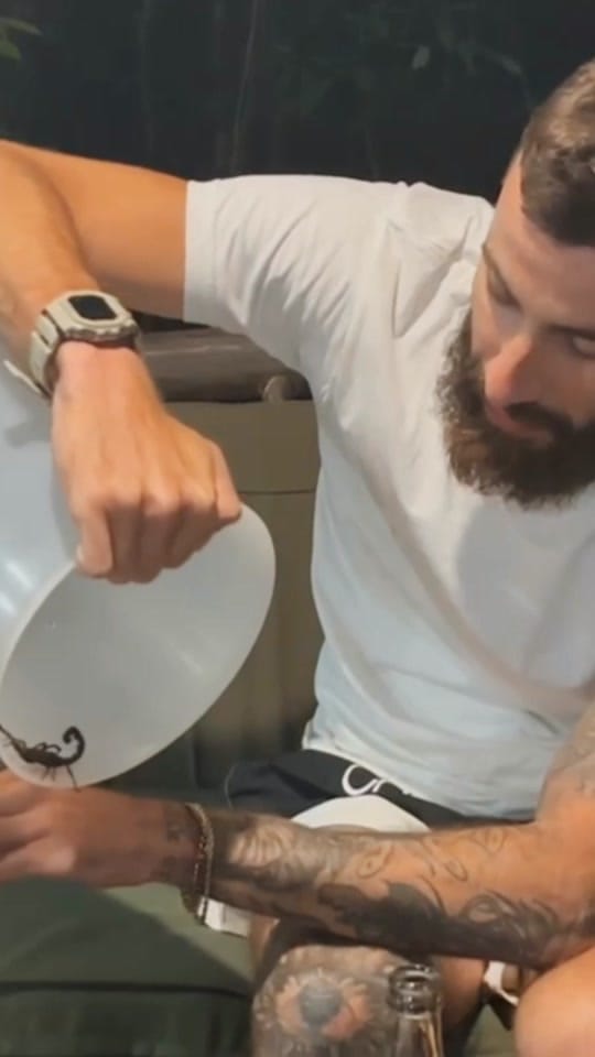 Post 4 by Theo Garcia on TikTok (video)