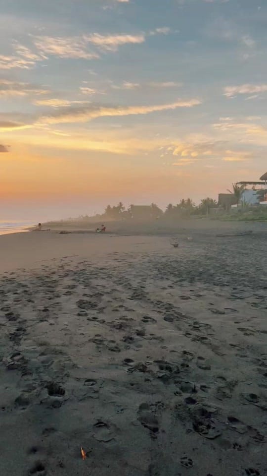 Post 9 by Theo Garcia on TikTok (video)