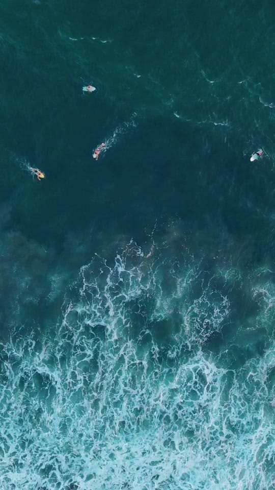 Post 6 by Theo Garcia on TikTok (video)