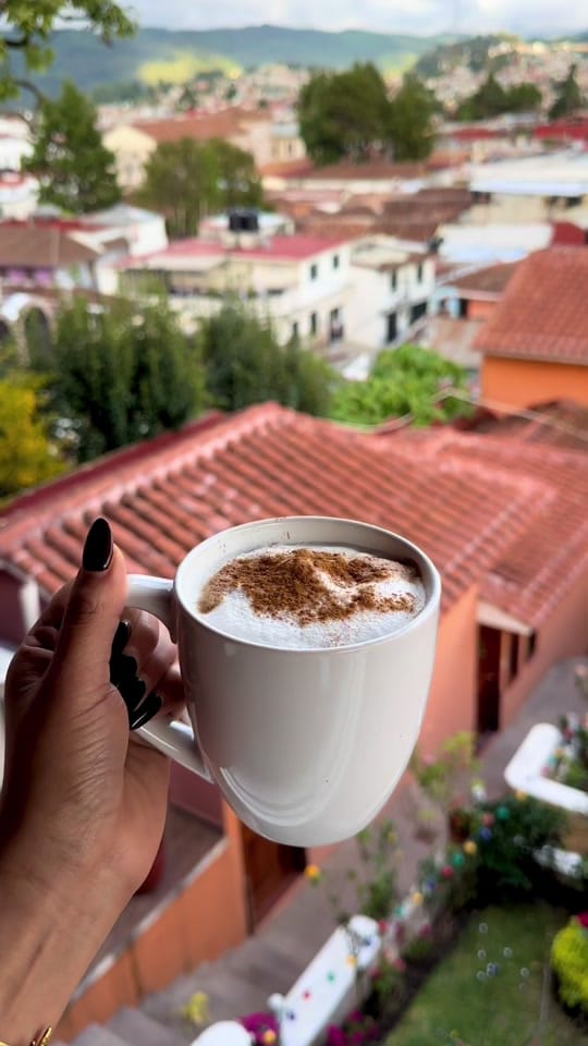 Post 4 by foodloverchiapas on TikTok (video)