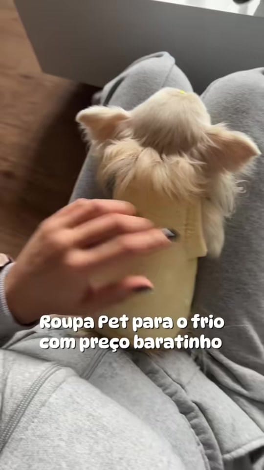 Post 3 by Fendi e Eu on TikTok (video)