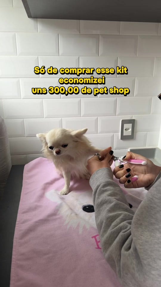 Post 5 by Fendi e Eu on TikTok (video)