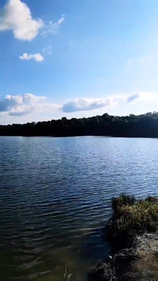 Post 4 by Minarka Lgt on TikTok (video)