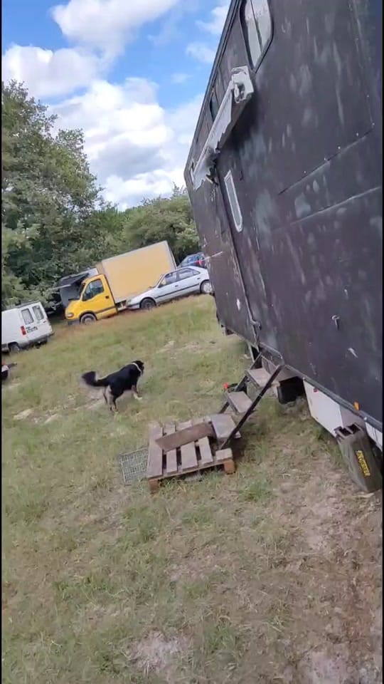 Post 7 by Minarka Lgt on TikTok (video)
