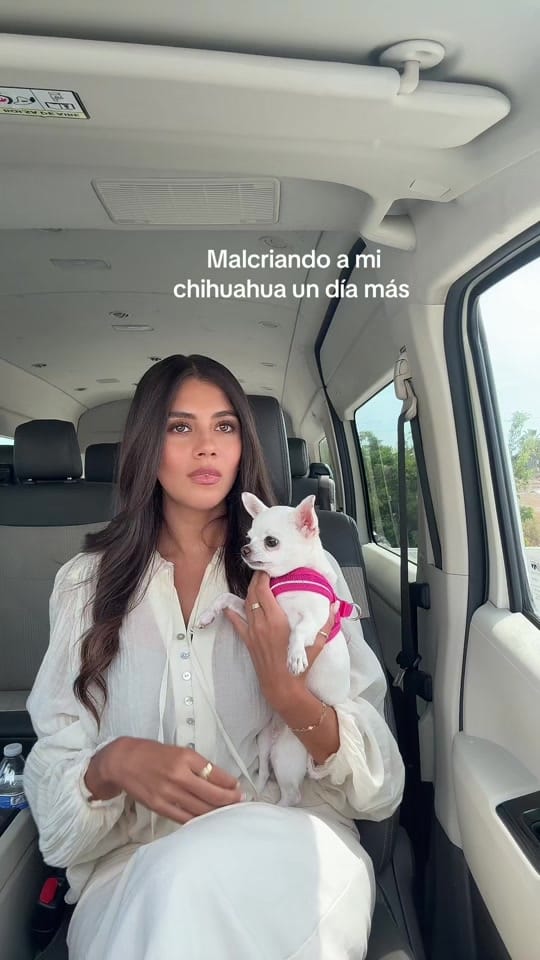 Post 10 by Andrea on TikTok (video)