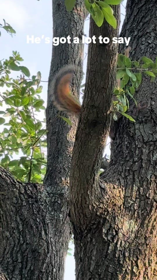 Post 1 by Jana Smith on TikTok (video)