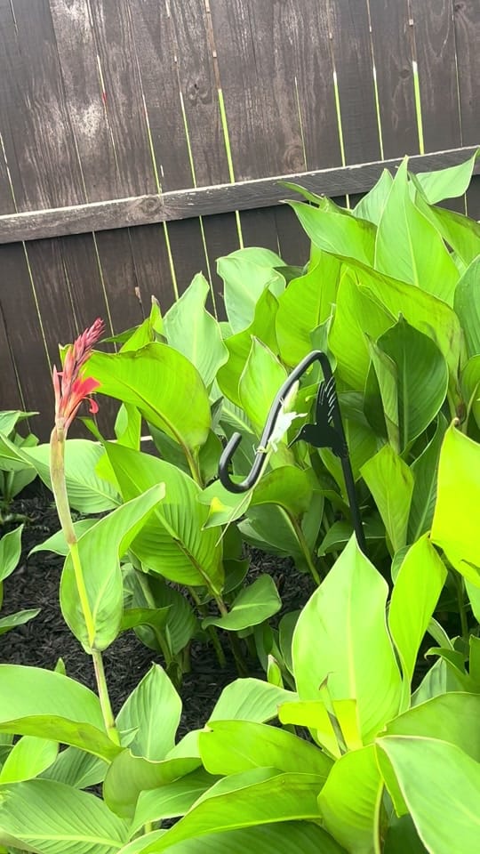 Post 5 by Jana Smith on TikTok (video)
