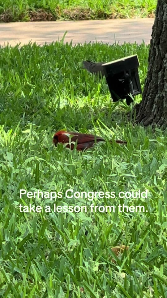Post 3 by Jana Smith on TikTok (video)