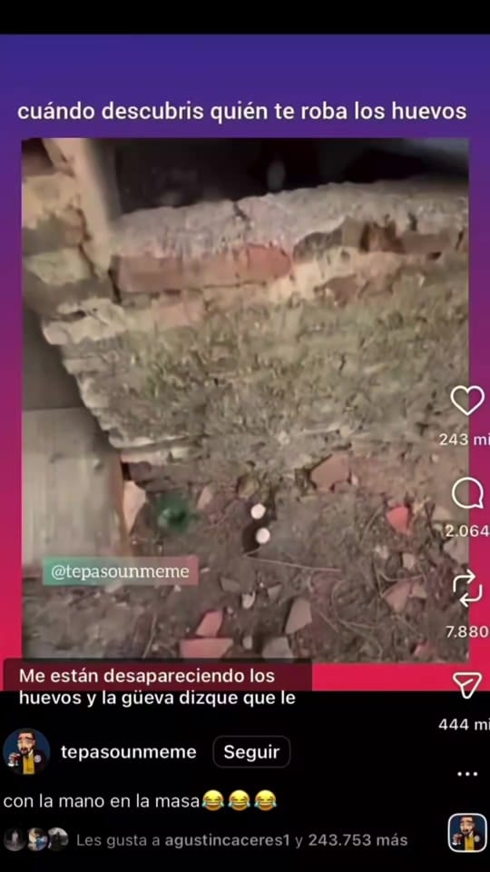 Post 1 by Señor F 🐙 on TikTok (video)