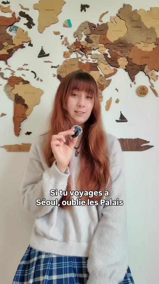 Post 10 by Lola et la Corée ☘ on TikTok (video)