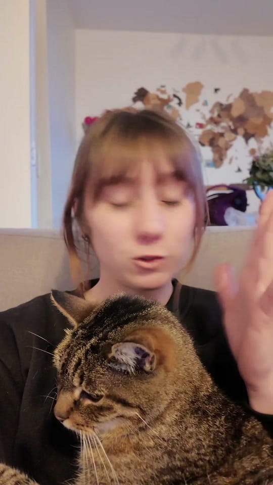 Post 3 by Lola et la Corée ☘ on TikTok (video)