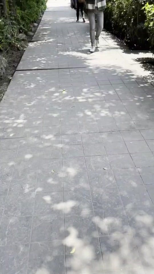 Post 8 by Jorge Soto on TikTok (video)