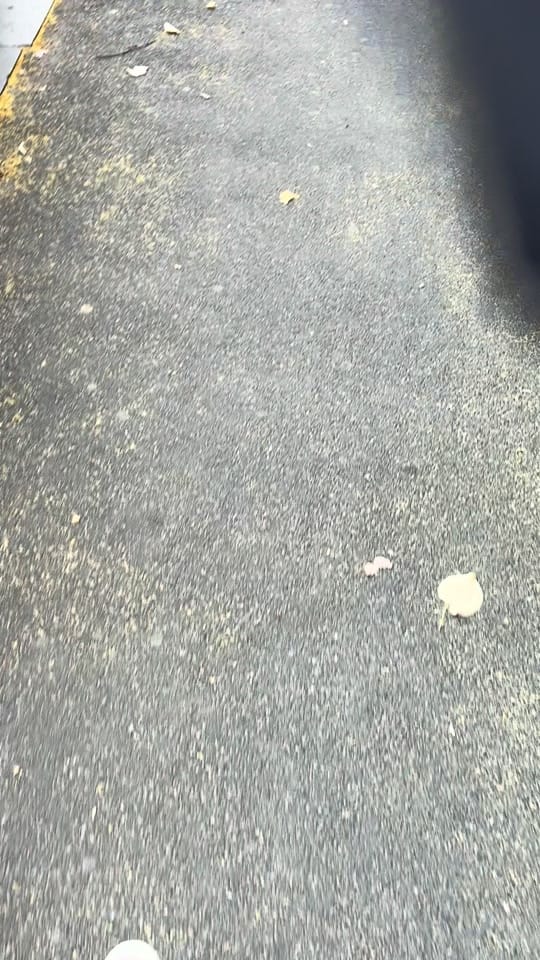 Post 3 by Cosmin Gheorghe on TikTok (video)
