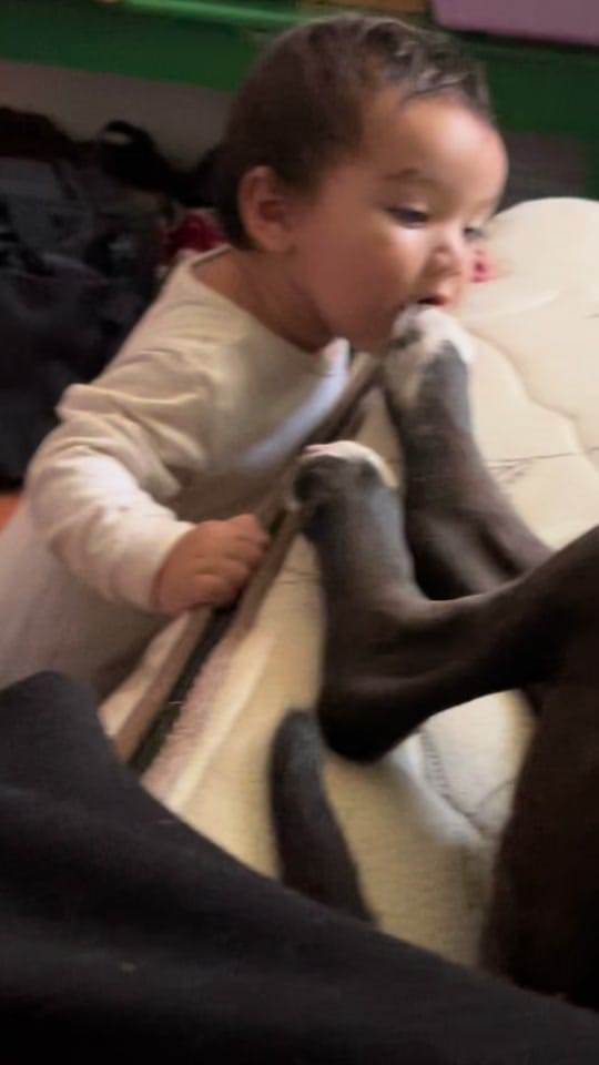 Post 1 by Losgolden on TikTok (video)