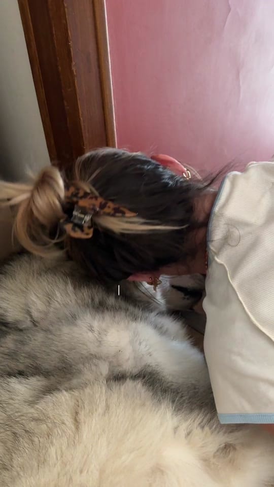 Post 10 by Salomé ✶⋆.𖦹 on TikTok (video)