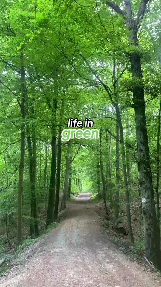 Post 4 by Mαelys on TikTok (video)