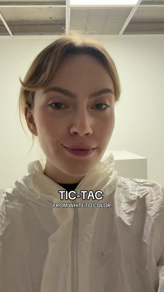 Post 6 by phlppemma on TikTok (video)
