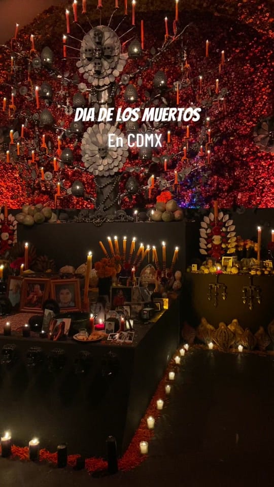 Post 7 by Laura Rose Meyer on TikTok (video)