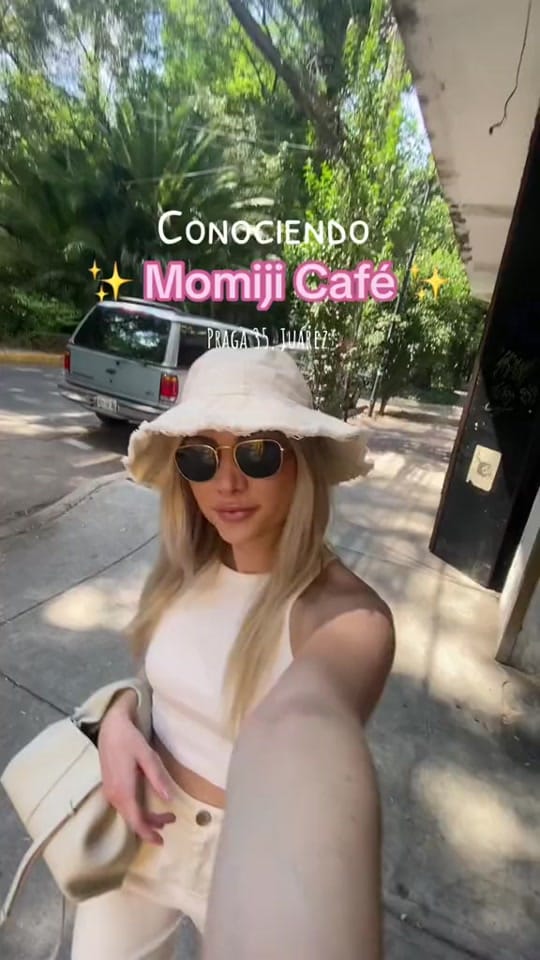 Post 8 by Laura Rose Meyer on TikTok (video)