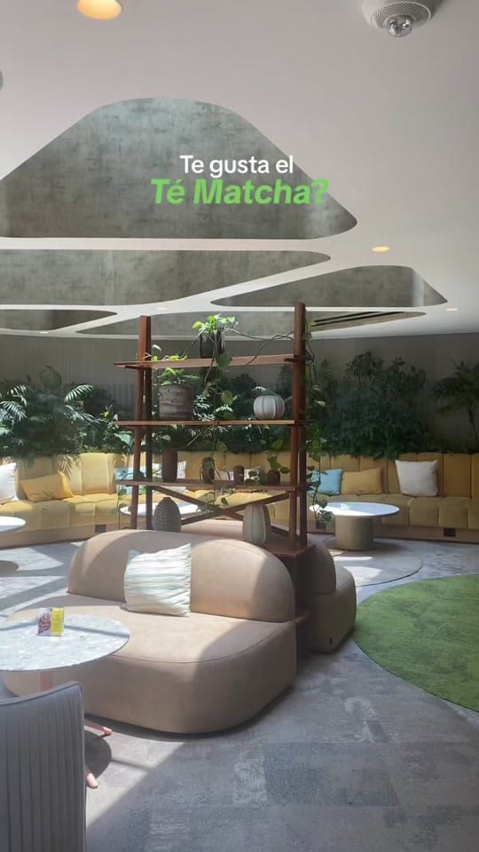 Post 9 by Laura Rose Meyer on TikTok (video)