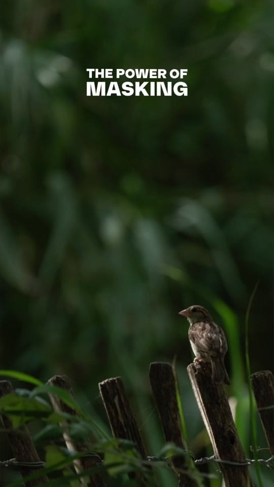 Post 7 by Pierre GAVARRY on TikTok (video)
