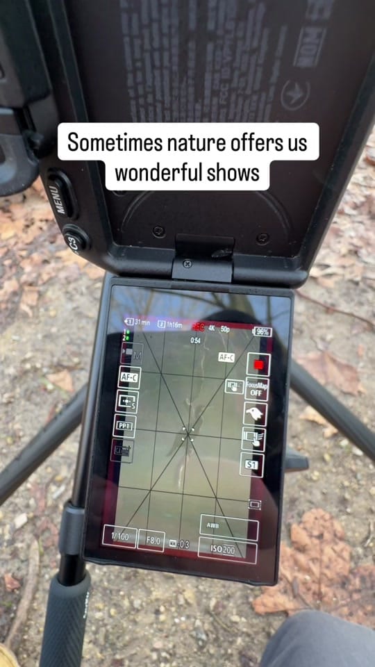Post 4 by Pierre GAVARRY on TikTok (video)