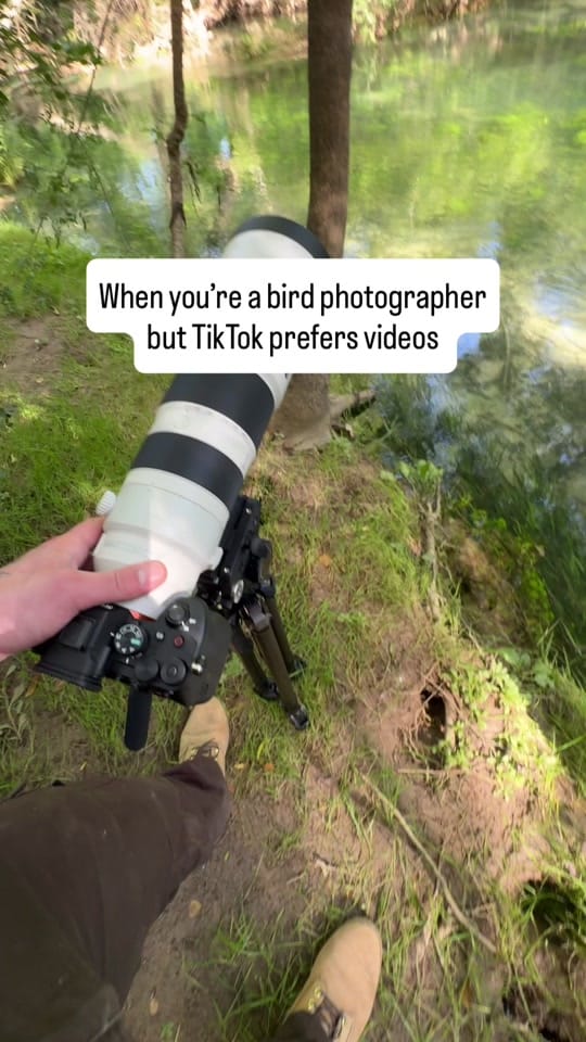 Post 2 by Pierre GAVARRY on TikTok (video)