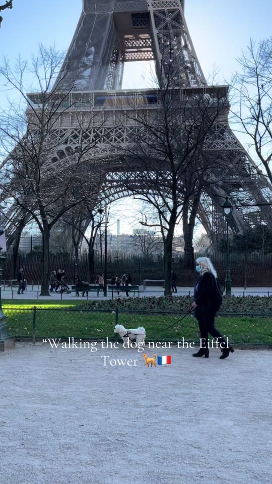 Post 8 by AlbParis on TikTok (video)