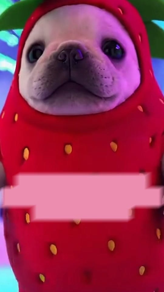Post 10 by Ing. Carla👩🏻‍💻 on TikTok (video)
