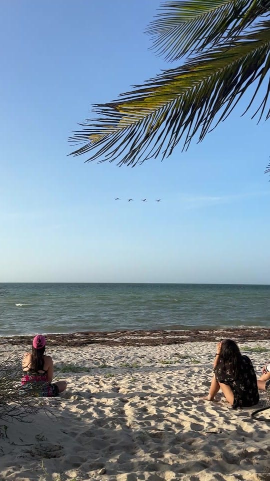 Post 3 by Yucatán Today on TikTok (video)