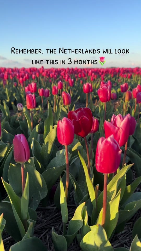 Post 4 by Fidji | Travel Content Creator on TikTok (video)