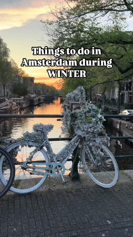 Post 5 by Fidji | Travel Content Creator on TikTok (video)