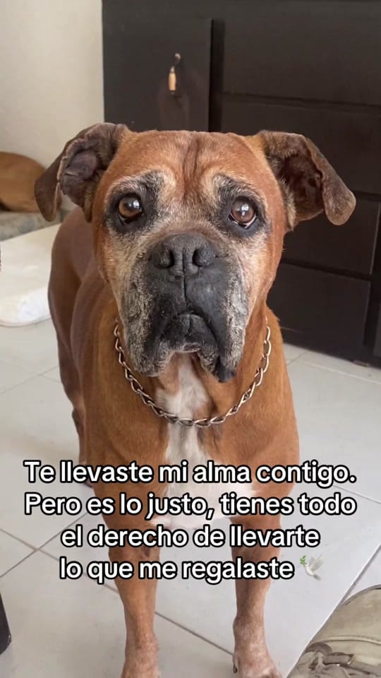 Post 6 by Adriana Castillo ( Adrix) on TikTok (video)