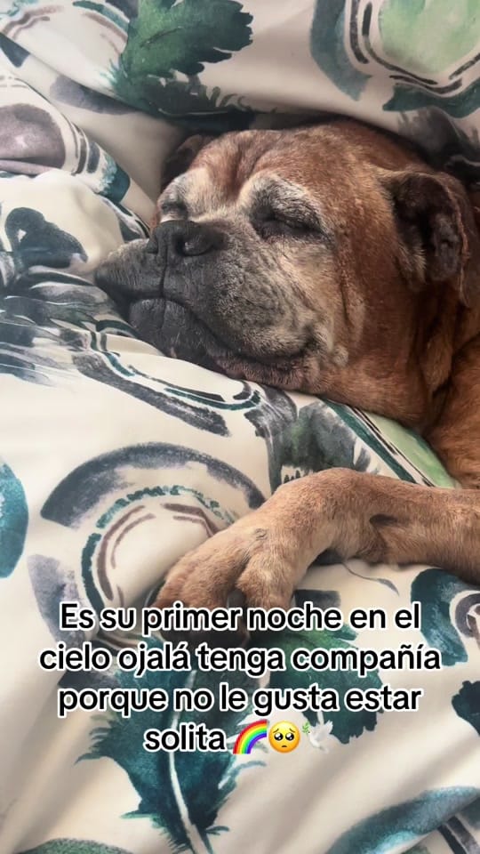 Post 5 by Adriana Castillo ( Adrix) on TikTok (video)