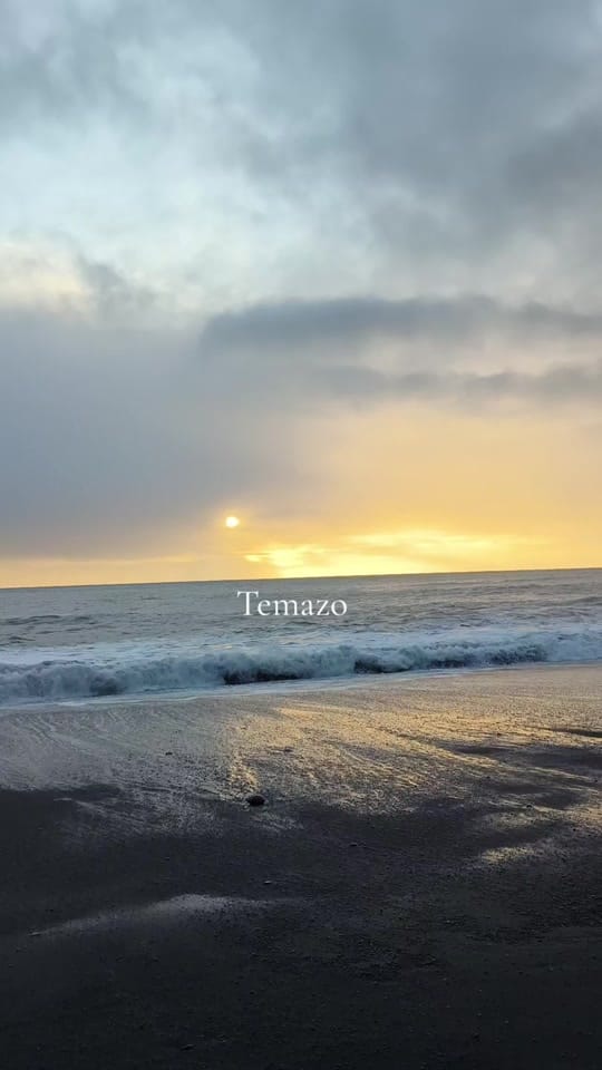 Post 10 by Charlene Domínguez on TikTok (video)