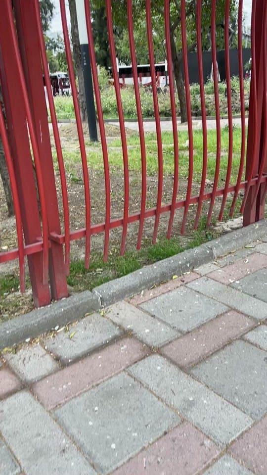 Post 10 by amanitafungica on TikTok (video)