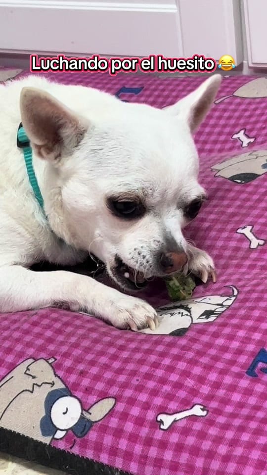 Post 1 by rumberiiya on TikTok (video)