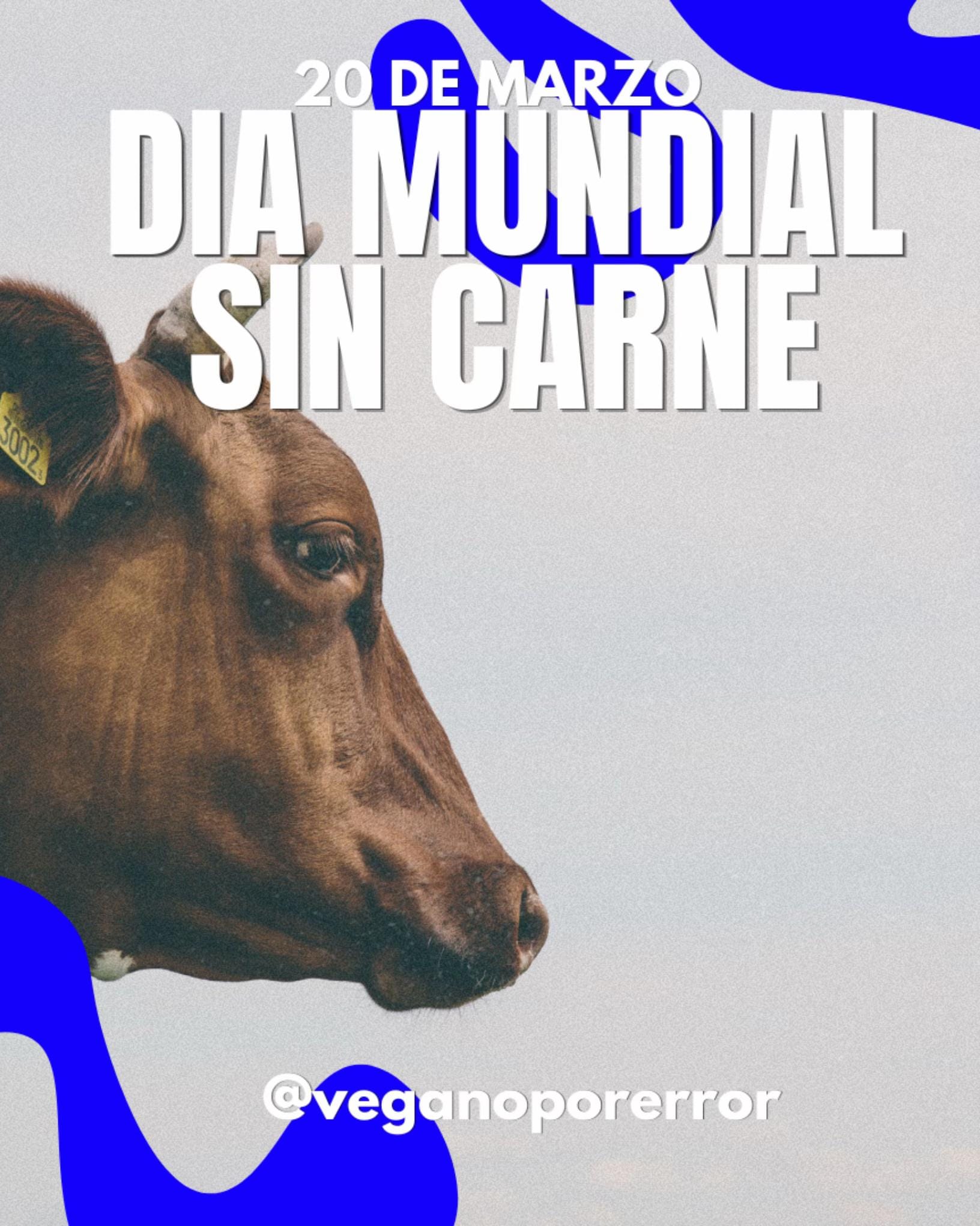 Post 7 by Vegano por error- Leonel on TikTok (video)