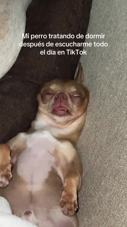 Post 7 by Liz Gochicoa on TikTok (video)