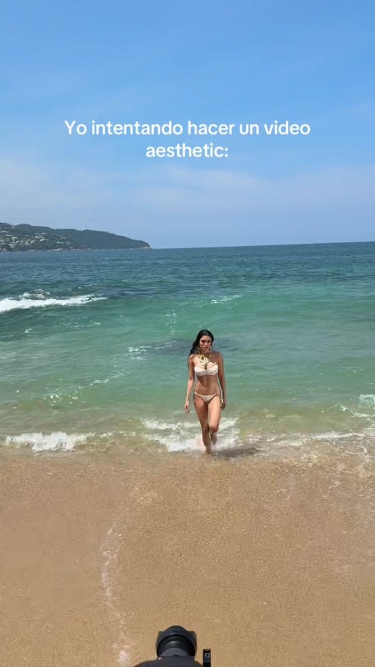 Post 3 by Liz Gochicoa on TikTok (video)