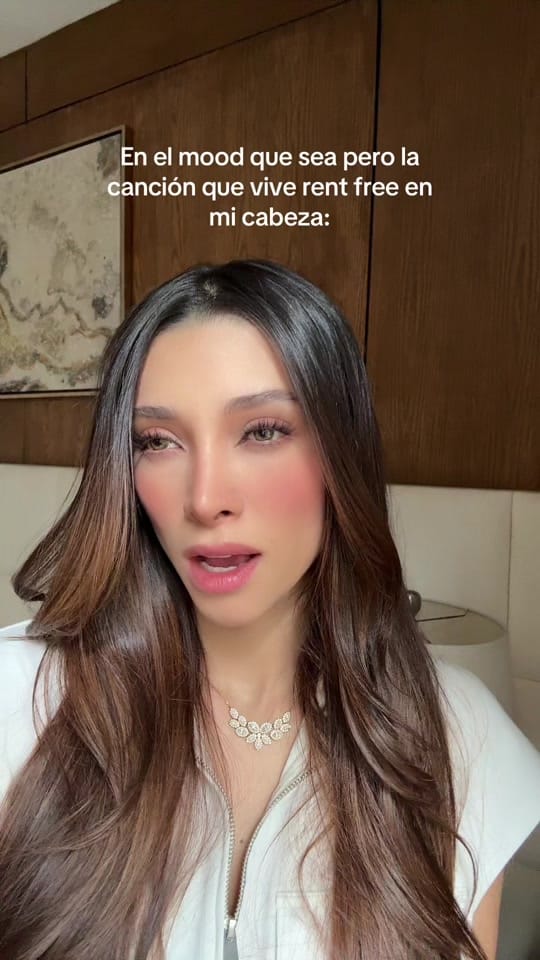 Post 9 by Liz Gochicoa on TikTok (video)