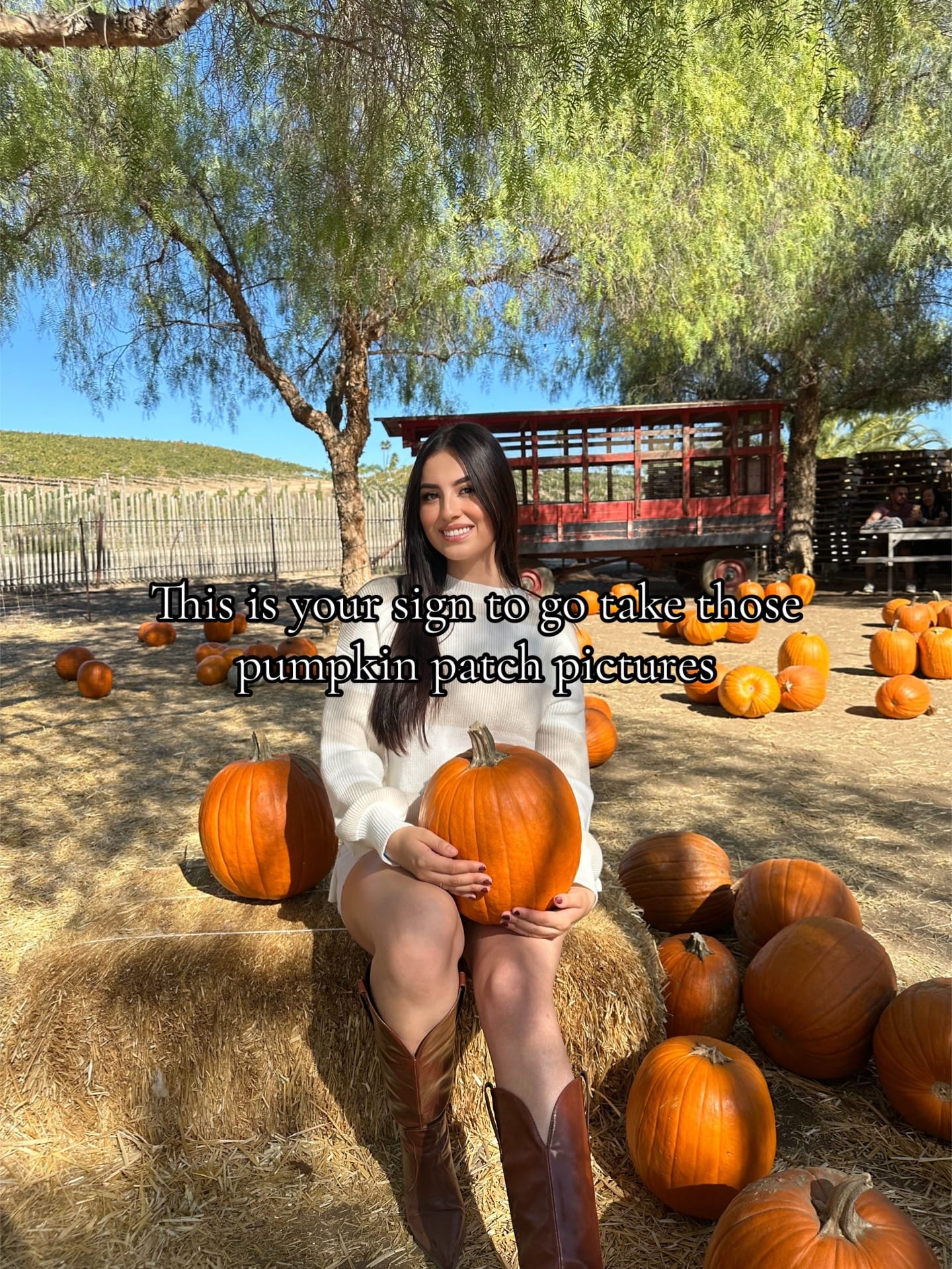 Post 6 by Miss Nava on TikTok (video)
