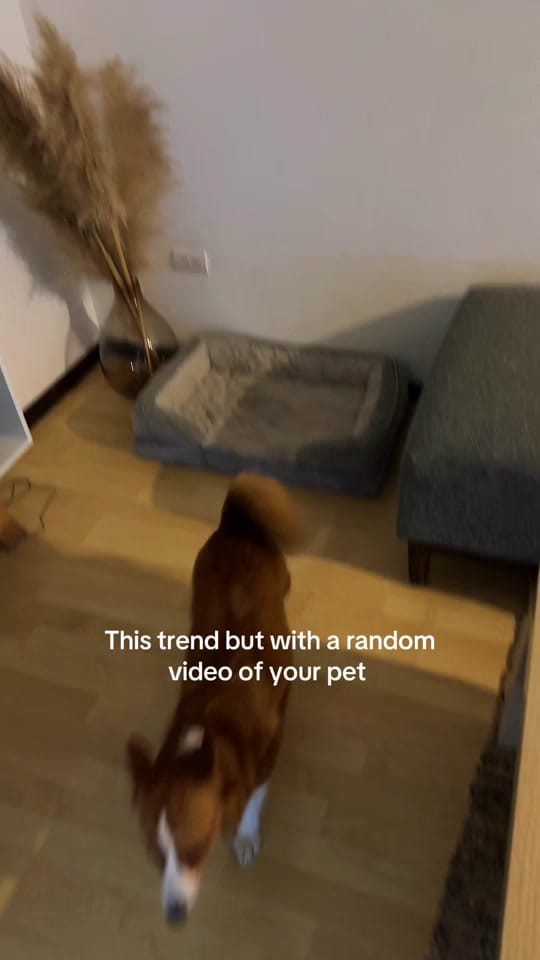 Post 5 by sunnysideup_mx (Ale) on TikTok (video)