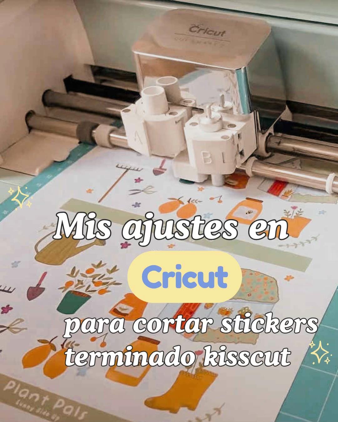 Post 4 by sunnysideup_mx (Ale) on TikTok (video)