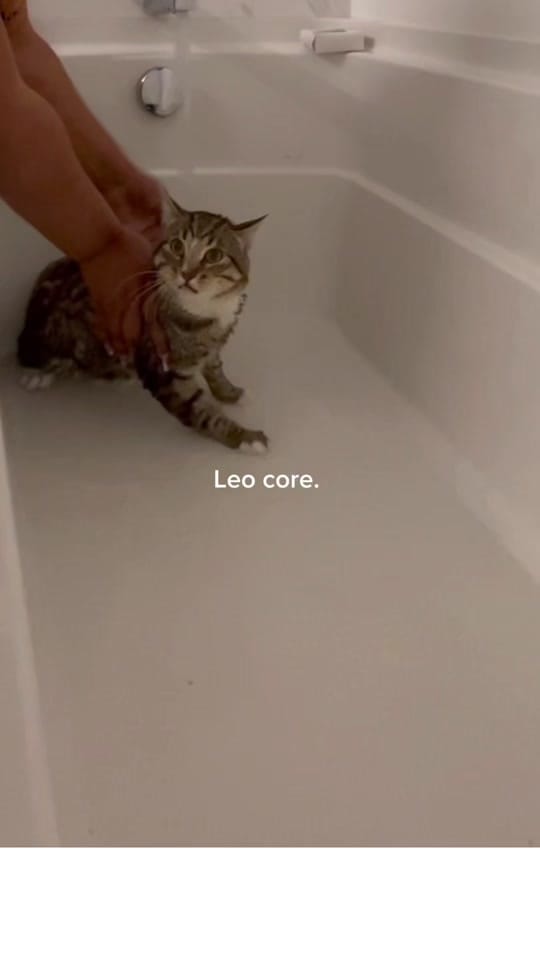 Post 2 by Where’s Paris? on TikTok (video)