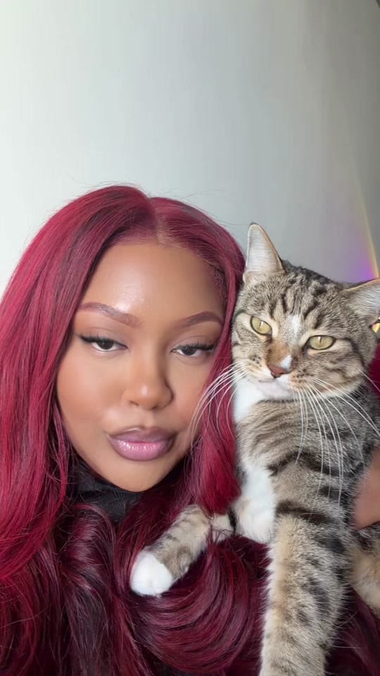 Post 1 by Where’s Paris? on TikTok (video)
