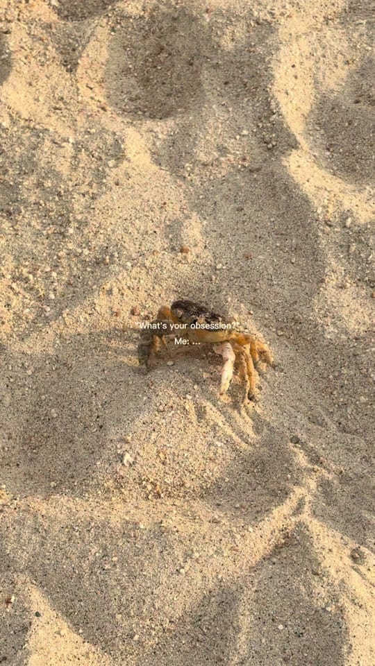 Post 7 by Lauren 🇲🇽 on TikTok (video)